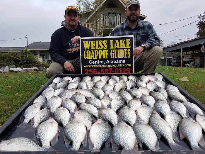 Weiss Lake Alabama Crappie Lakes : Weiss Lake / Weiss lake guides is owned and operated by professional crappie angler darrell baker.