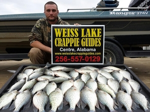 Page 4/4 - Weiss Lake Crappie Guides 2017 Photo Gallery ...
